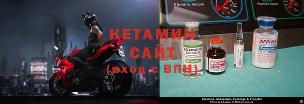 шишки Мегион