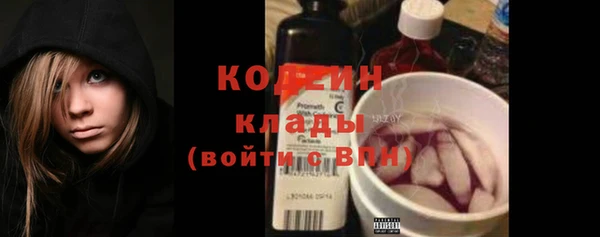 шишки Мегион