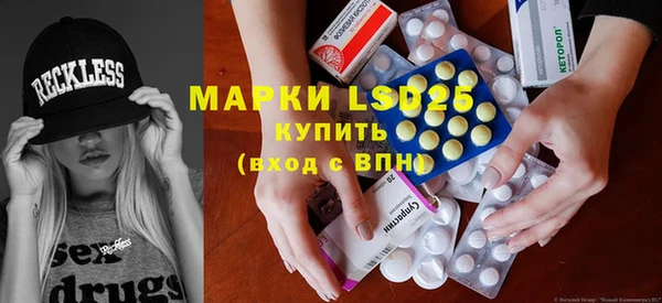 шишки Мегион
