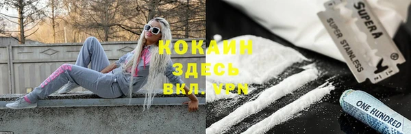 шишки Мегион